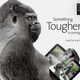 Illustration for article titled New Tougher Gorilla Glass 3 Is Coming Next Week